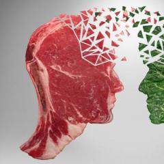 چرا خوردن گوشت مضر و خطرناک است؟